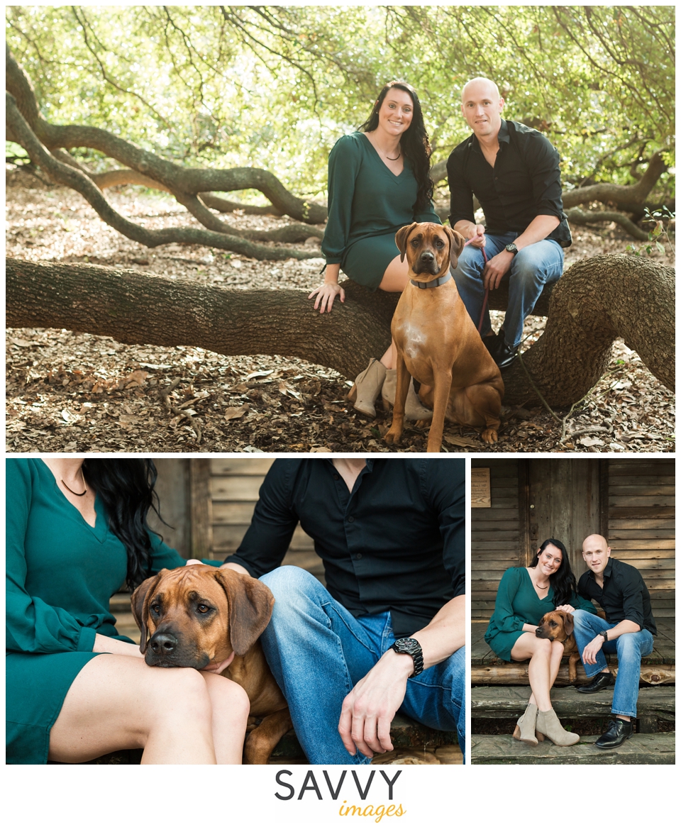 Savvy Images - Best Houston Furbaby and Pet Photos