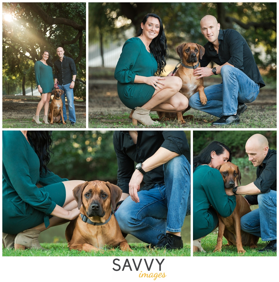 Savvy Images - Best Houston Furbaby and Pet Photos
