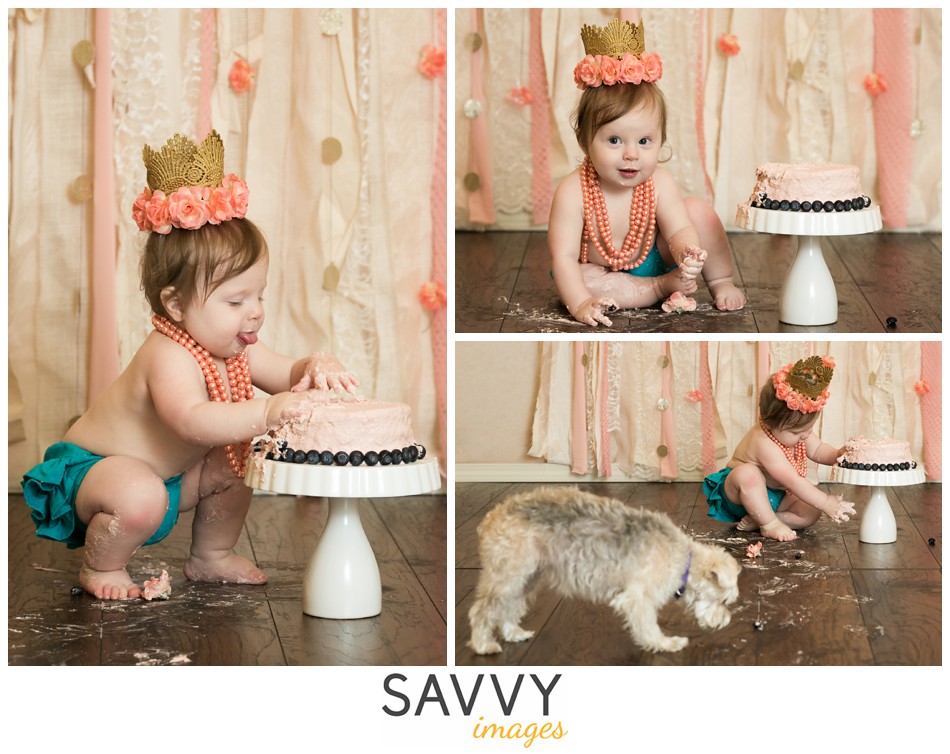 Savvy Images Cake Smash One Year Baby Photos - Houston Photographer